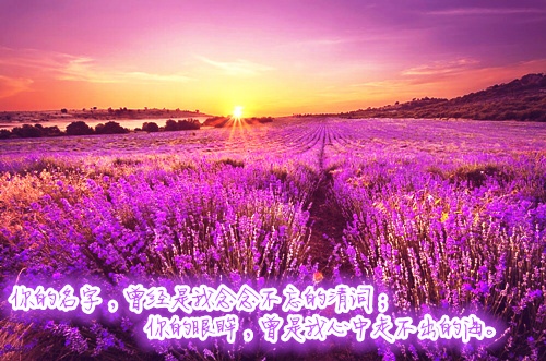 关于健康早安正能量简单一句话