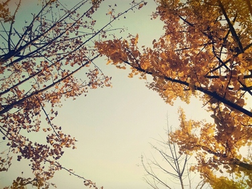 能让你的访客暴增的句子