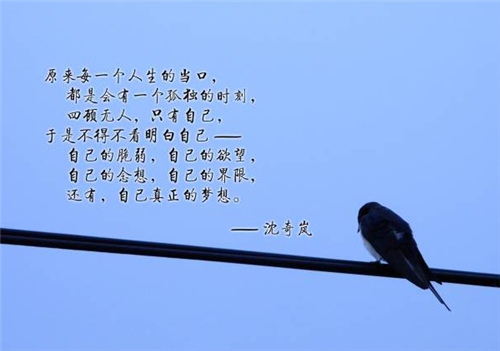 命运是掌握在自己的手里的句子