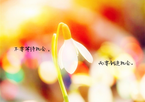 2021新年新气象的励志句子