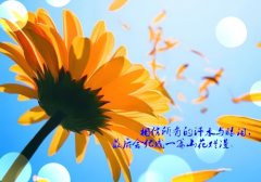 关于快到2021年的祝福语