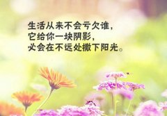 2021年最火的的句子一句话