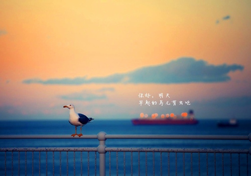 老师送给考研人的一句话