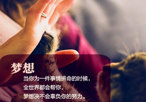 2021年最走心的经典正能量句子