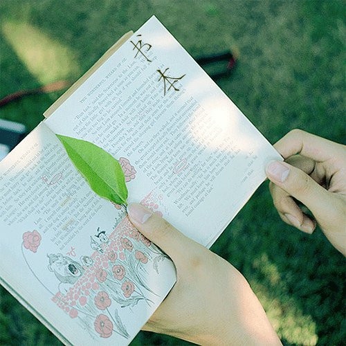 一些励志正能量的句子名人名言