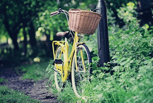 抖音2021年最火的句子