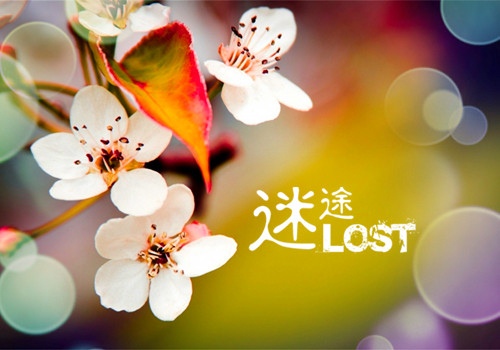 一句简短的暖心话送给自己