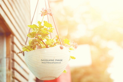 2021年最潮微信名男