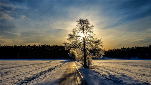 大寒温暖心灵的祝福语