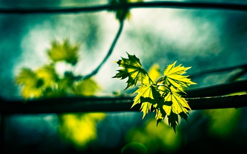 2021最火的微信名四个字