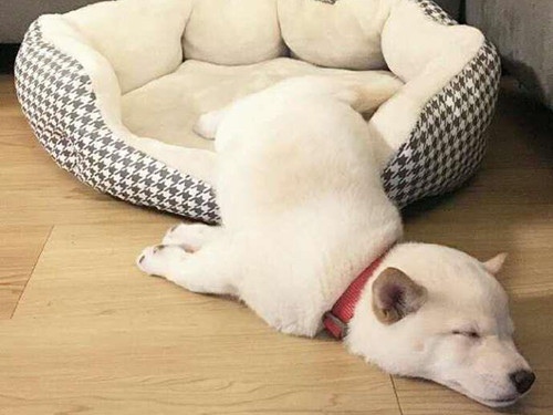 微信状态文案搞笑