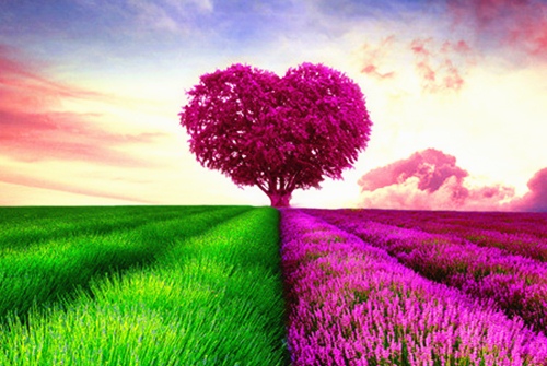 微信昵称2021最热