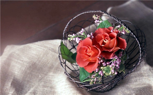 泡妞最吸引人的网名