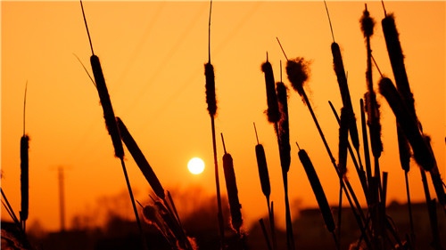 单身男最吸引女人的网名