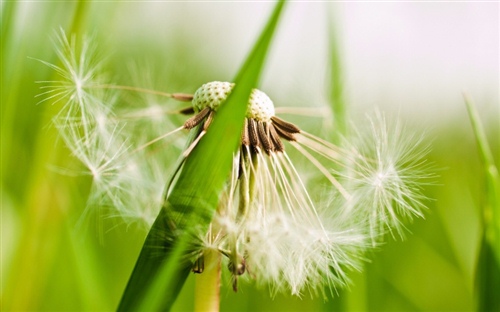 好听脱俗的女生网名