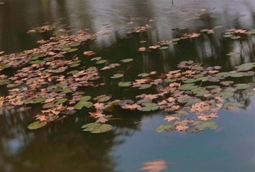 社会人专用网名女