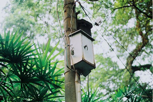 作文能用到的句子摘抄