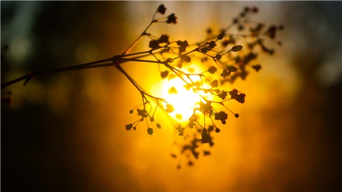 2021最新版的网名女生三个字