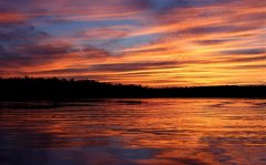 度娘都搜不到的优秀文案