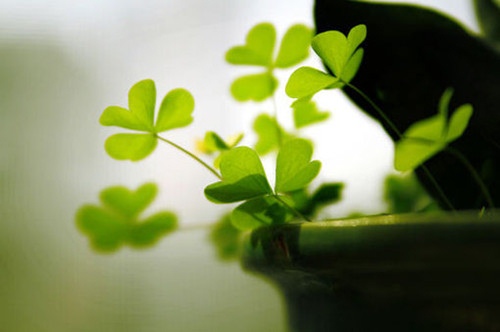 别致不俗的网名