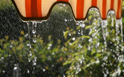 春天下雨天的心情经典句子