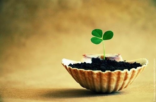 2021最火微信名字昵称