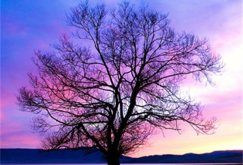 适合中年妈妈的网名简单气质