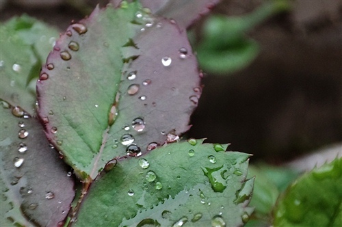 适合下雨天发的文案