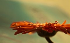 好听又好记的客服昵称男