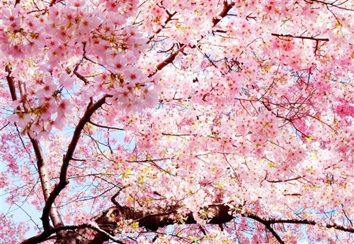 微信朋友圈关于时间文案句子