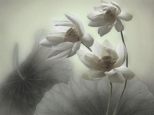 为了生活不得不奔波的句子