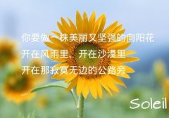 不忘初心的励志句子