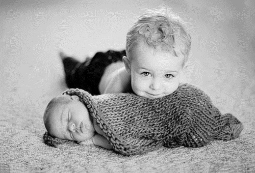 家有孩子初长成的句子