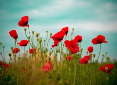 要成为更好的自己文案