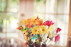 水浒传摘抄描写人物的精彩句段