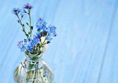 三国演义描写人物的精彩句段