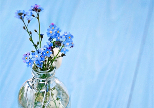 三国演义描写人物的精彩句段