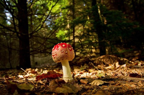 用先再然后最后写一句话