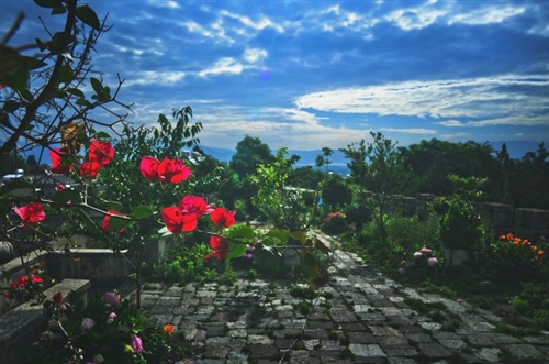 一句早上好的经典名句 精美早上好祝福短句