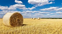 看风景发朋友圈的文案