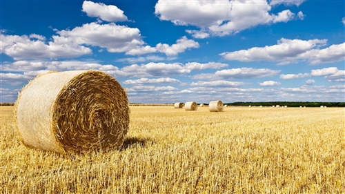 看风景发朋友圈的文案