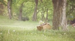 不取悦不讨好任何人的句子