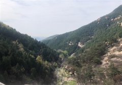 登上山顶的感受一句话