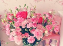 摘抄书本上的好句有书名关于哲理