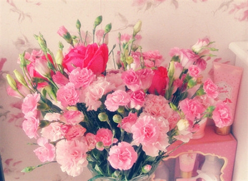 摘抄书本上的好句有书名关于哲理