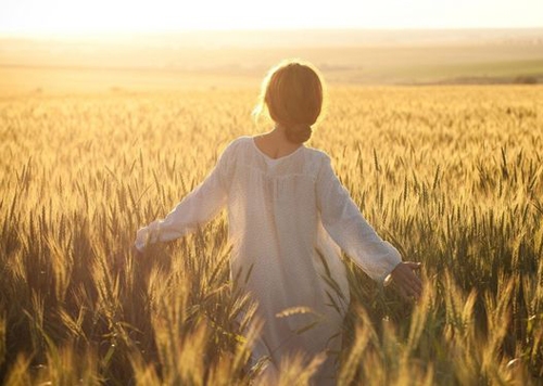 描写阳光明媚微风正好的句子