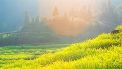 用尤其写句子一年级