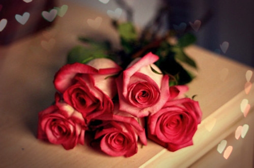 微商晚安心语简短一句话发朋友圈