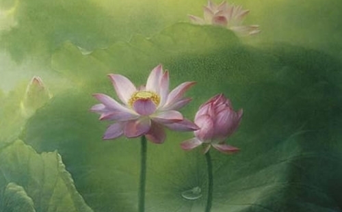 最经典的芒种节气祝福语大全