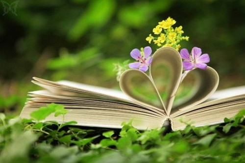 适合阅读小报的文案句子